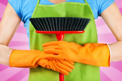 Professional sofa cleaning in a Charing Cross living room