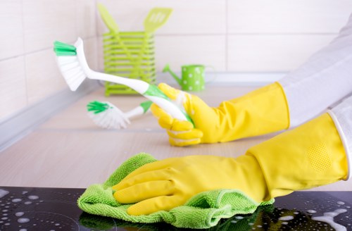 Deep carpet cleaning process showing attention to stains and traffic areas