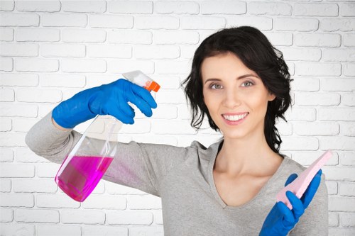 Professional carpet cleaning consultation and quotation review